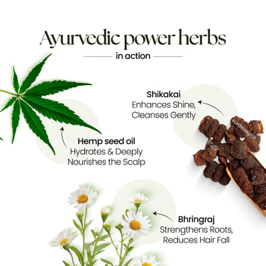 Moha Shikakai & Bhringraj Shampoo | Anti Hair Fall Shampoo with Hemp Seed Oil | 200 ml